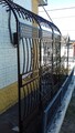 Виноградник под заказ в Днепре